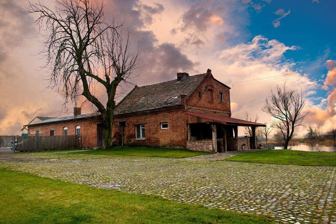 Palac W Debinie Krzeszkowice Exteriör bild