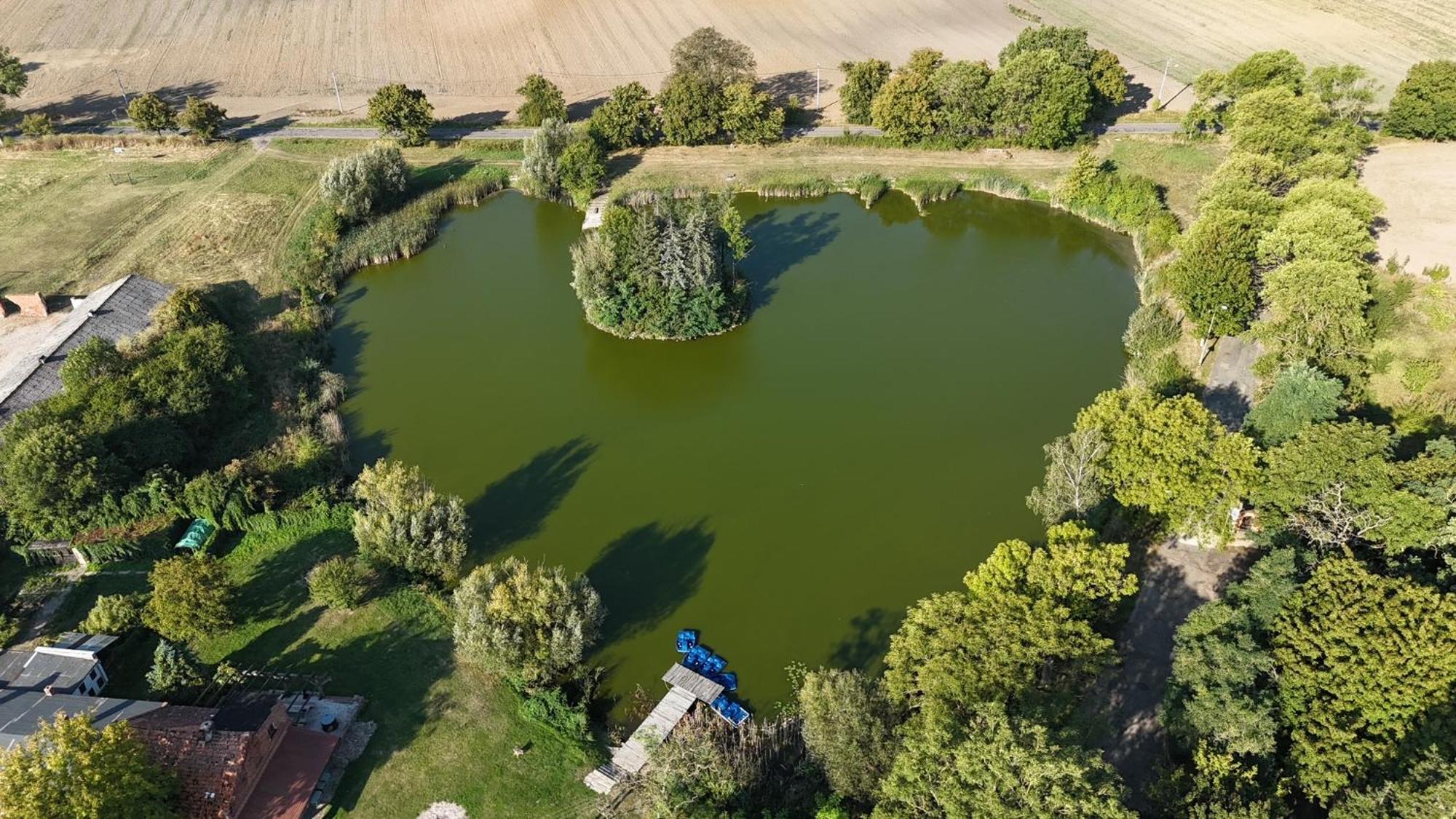 Palac W Debinie Krzeszkowice Exteriör bild
